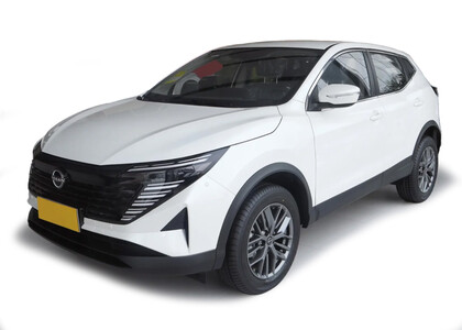 EVA коврики на Nissan Qashqai (J11) Glory / Honor (Китай) 2024 - 2026 в Кемерово EVA коврики на Nissan Qashqai (J11) Glory / Honor (Китай) 2024 - 2026 в Кемерово