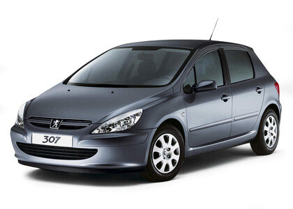 Ворсовые коврики на Peugeot 307 2001 - 2008 в Кемерово