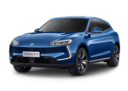 Коврики на Seres SF5 2019&nbsp;-&nbsp;2022 в Кемерово