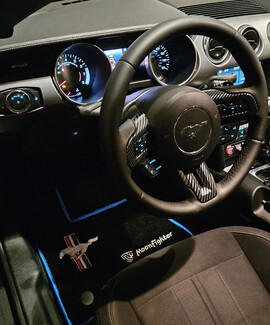 Ворсовые коврики на Ford Mustang VI 2013 - 2023 в Кемерово Ворсовые коврики на Ford Mustang VI 2013 - 2023 в Кемерово