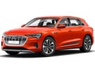 Коврики на Audi e-tron 2018 - 2025 в Кемерово
